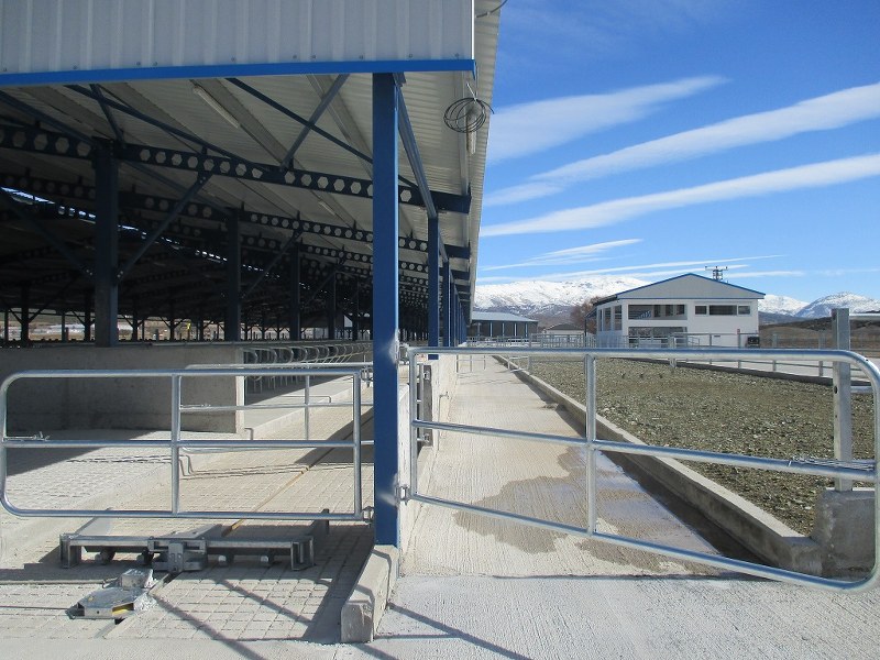 Ali Çelik Tarım Hayvancılık/Burdur