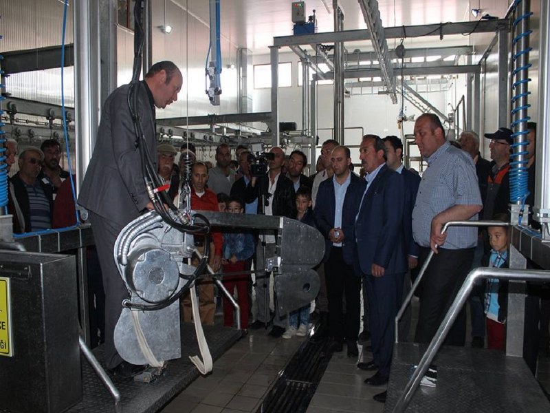 Ayşe Taşlıoğlu/Burdur