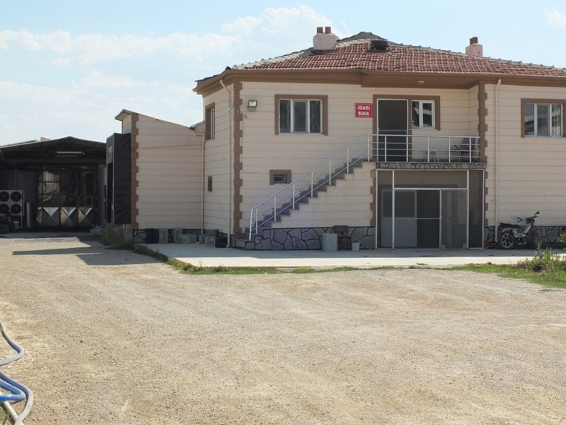 Emrullahoğlu Süt/Afyonkarahisar