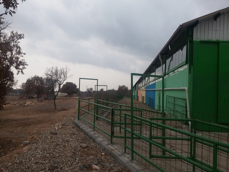 Himmet Duygu/Uşak