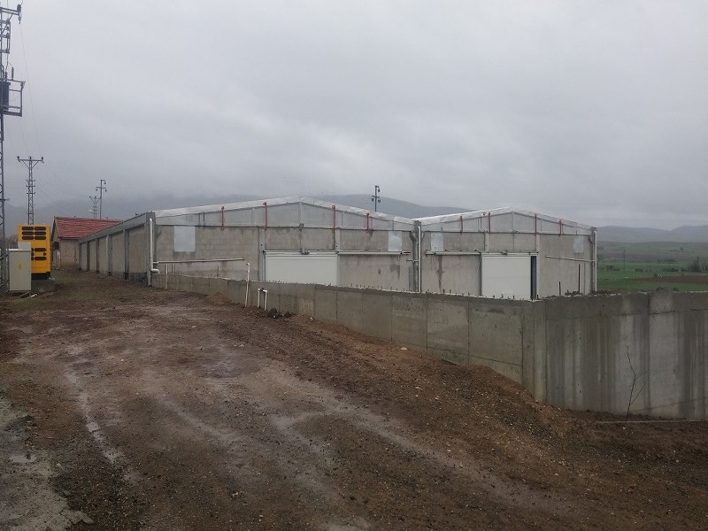 Mehmet Altıntaş/Afyonkarahisar